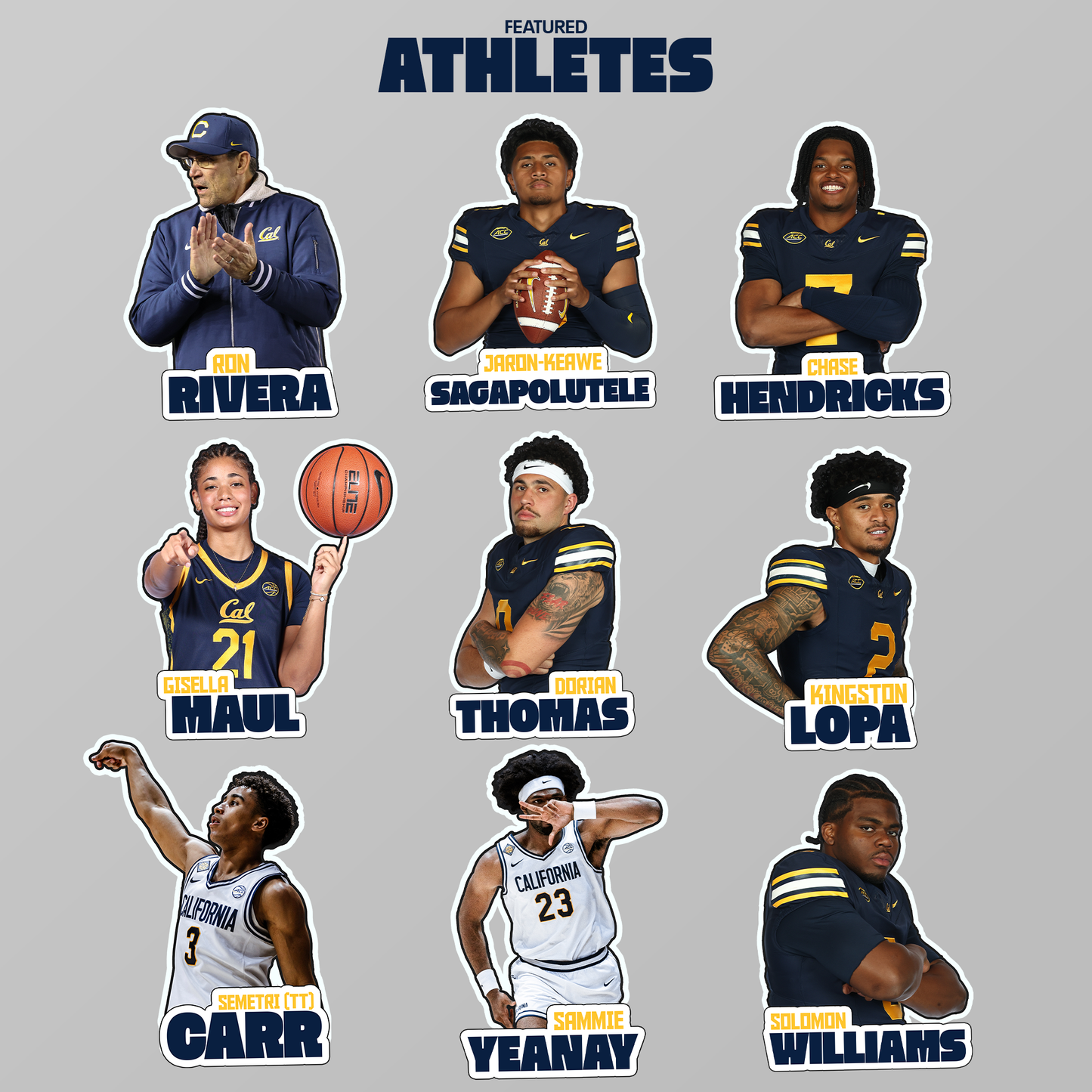 Golden Bears FanBox Membership