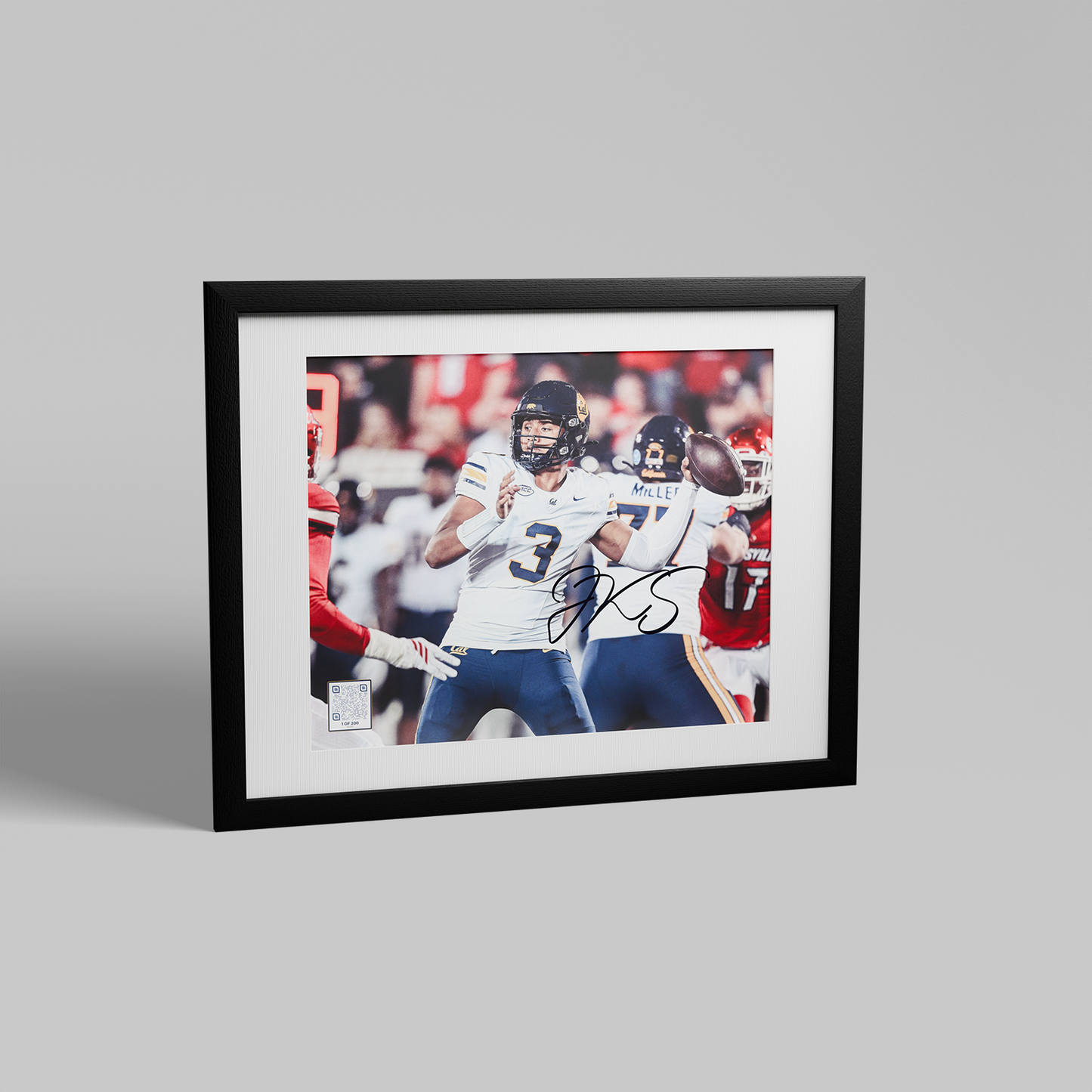 Golden Bears FanBox Membership